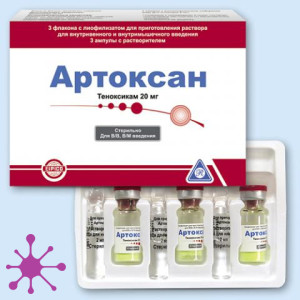 Артоксон