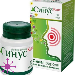 Синус