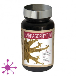 Nutri expert гарпагофітум